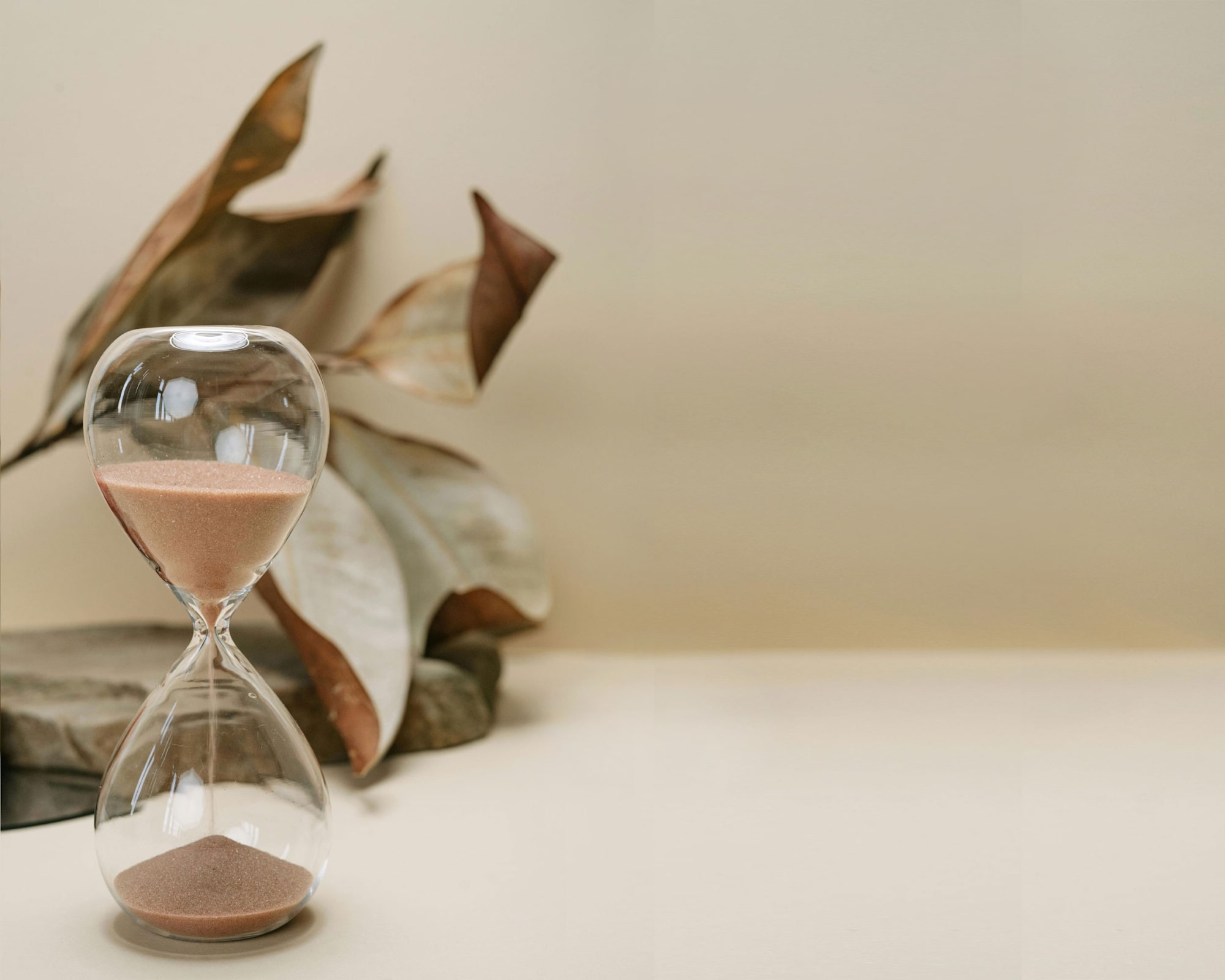 Idées de décoration